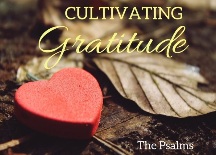 How to Meditate to Cultivate Gratitude and Compassion