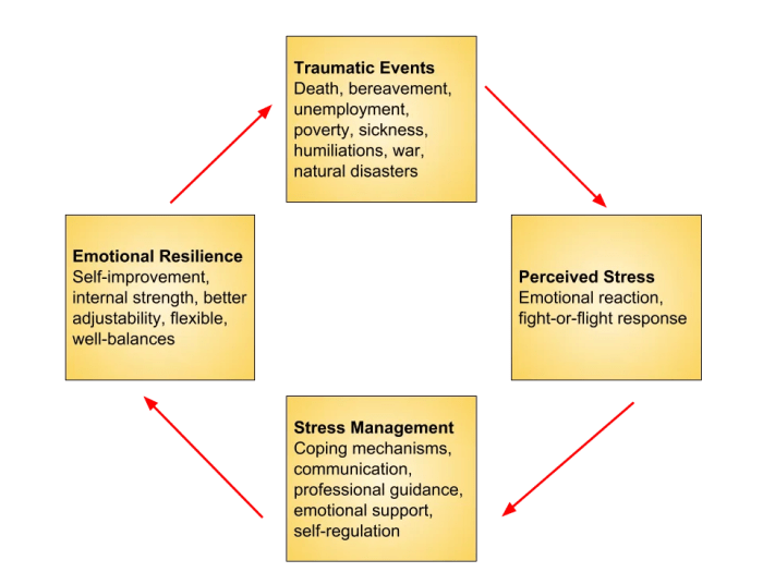 Resilience leadership educational psychology resiliency learning secrets skills model bronfenbrenner social coping therapy education do counseling work systems teaching personal