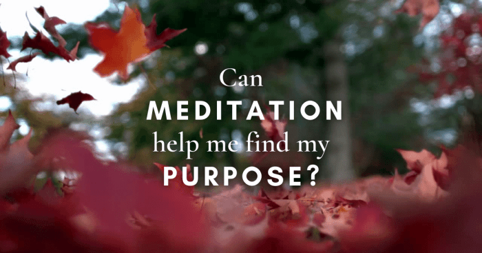 How to Meditate for Finding Clarity and Purpose in Life