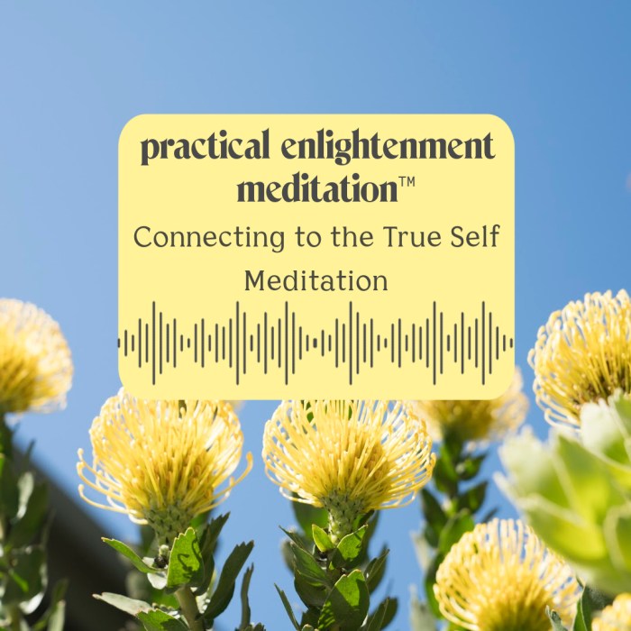 How to Meditate for Gaining Insight into Your True Self